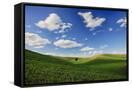 Canvas Black