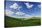 Stretched Canvas