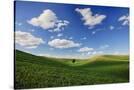 Stretched Canvas