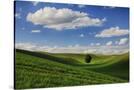 Stretched Canvas