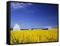 Canvas Black