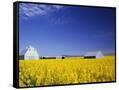 Canvas Black