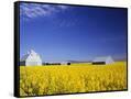 Canvas Black