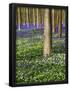 Essential Black