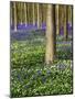 Wood Mount