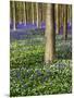 Wood Mount