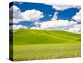 Stretched Canvas