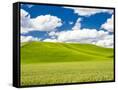 Canvas Black