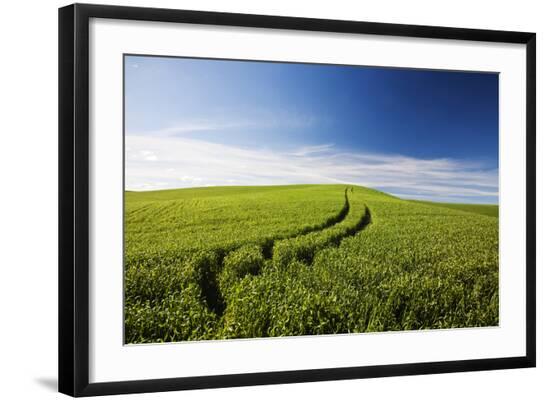 Premium Photographic Print, , large