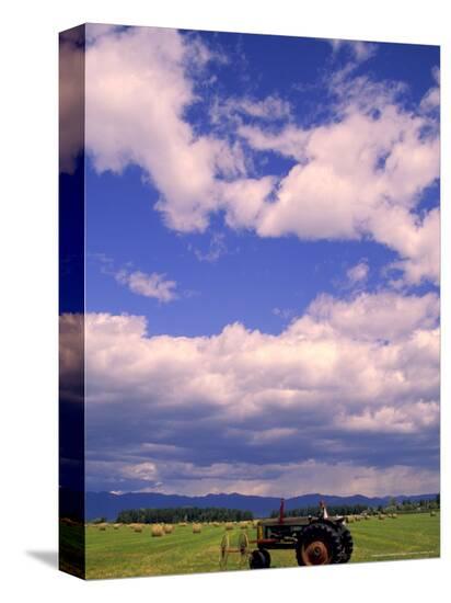 Stretched Canvas Print, , large