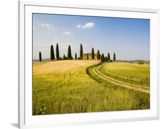 Framed Photographic Print, , large