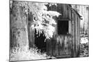 Wood Mount