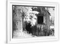 Gramercy White