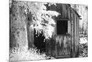 Wood Mount