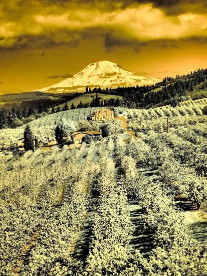 Premium Photographic Print, , large