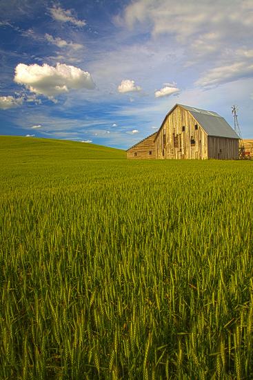 Premium Photographic Print, , large