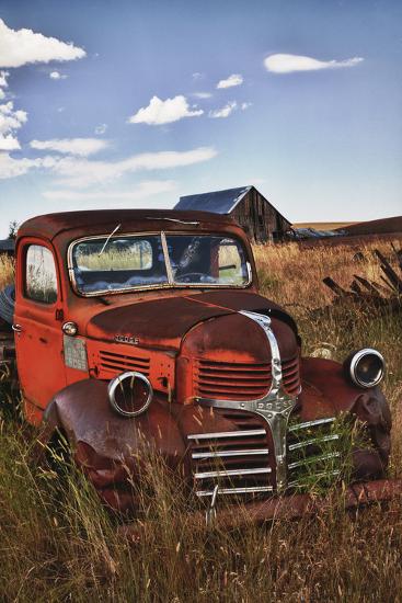 Premium Photographic Print, , large