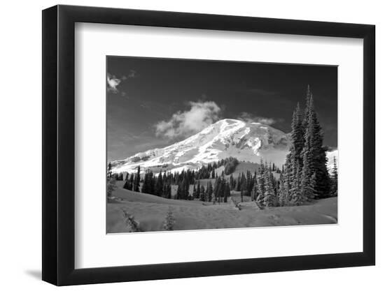 Premium Photographic Print, , large
