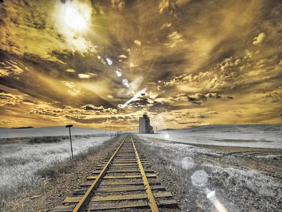 Premium Photographic Print, , large