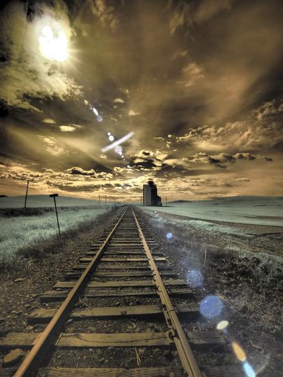 Photographic Print, , large