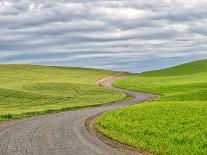 USA, Washington State, Palouse. Backcountry road leading through winter and spring wheat fields-Terry Eggers-Photographic Print