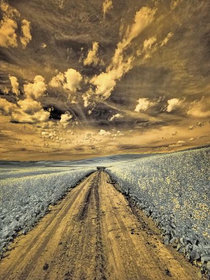 Photographic Print, , large