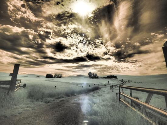 Photographic Print, , large