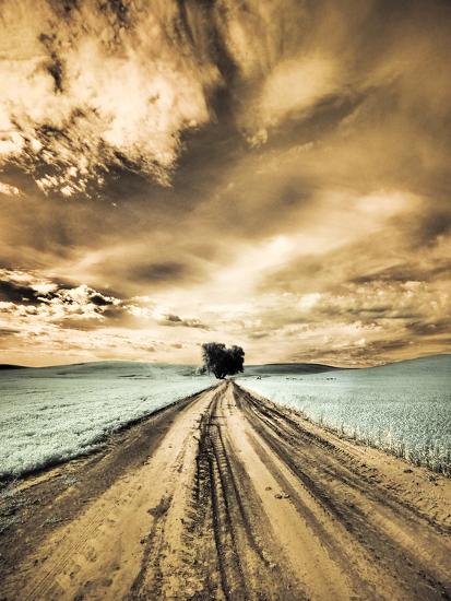 Premium Photographic Print, , large