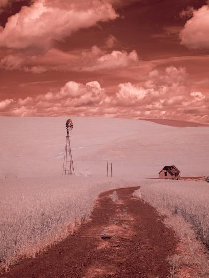 Photographic Print, , large