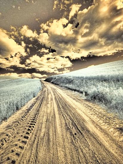 Premium Photographic Print, , large