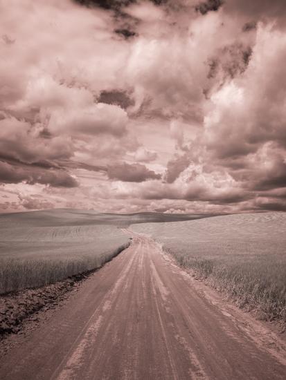 Photographic Print, , large