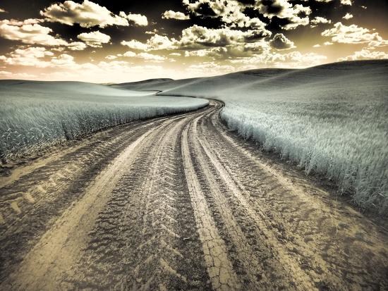 Photographic Print, , large