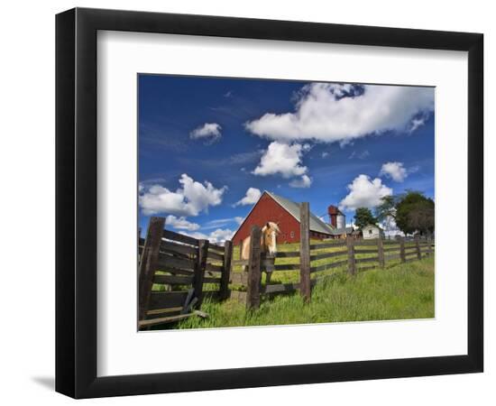 Premium Photographic Print, , large