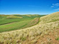 USA, Washington State, Palouse. Backcountry road leading through winter and spring wheat fields-Terry Eggers-Photographic Print