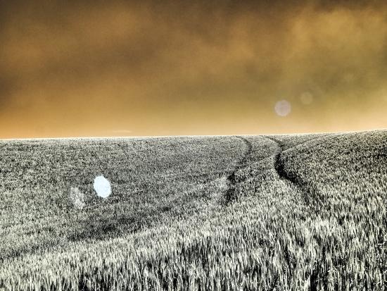 Photographic Print, , large
