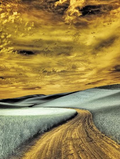 Photographic Print, , large