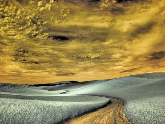 Photographic Print, , large