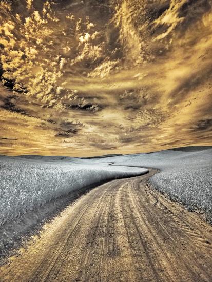 Premium Photographic Print, , large