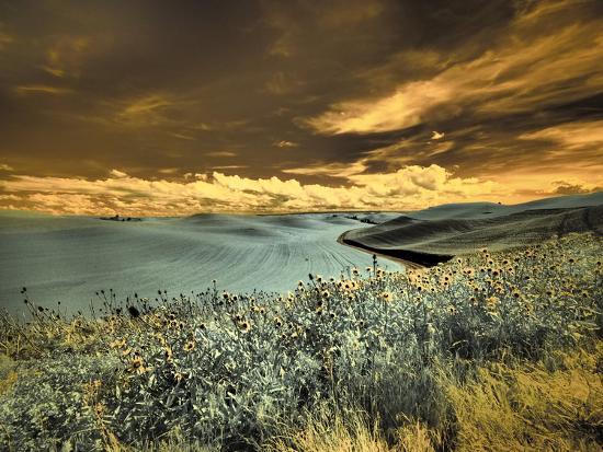 Photographic Print, , large