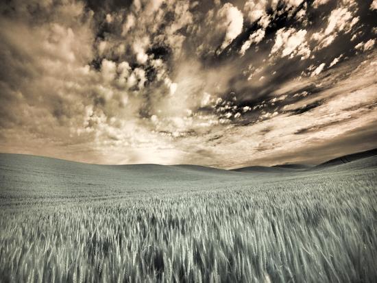 Photographic Print, , large