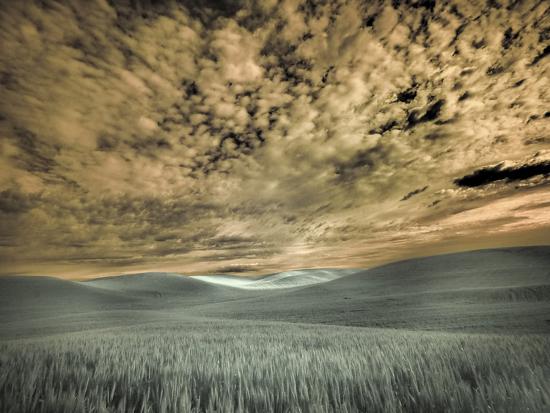 Photographic Print, , large