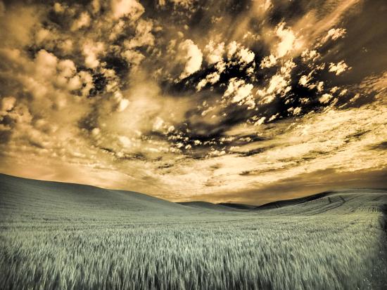 Photographic Print, , large