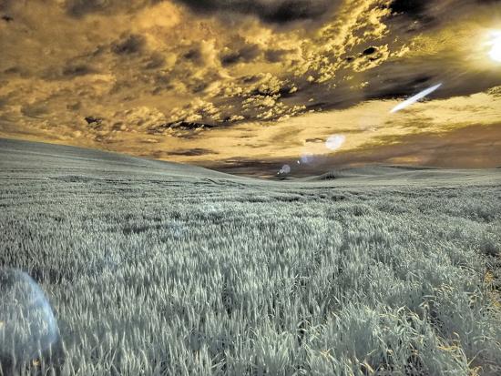 Photographic Print, , large