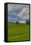 Canvas Black