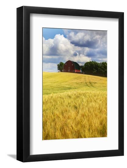 Premium Photographic Print, , large