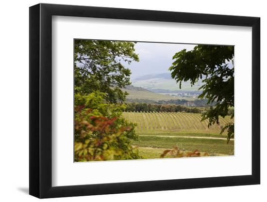 Premium Photographic Print, , large