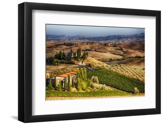Premium Photographic Print, , large