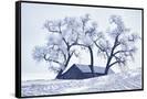 Canvas Black