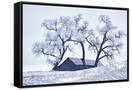 Canvas Black