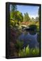 Essential Black